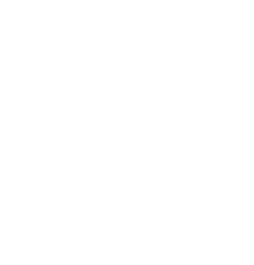 Kis seal